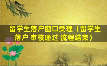留学生落户窗口受理（留学生落户 审核通过 流程结束）